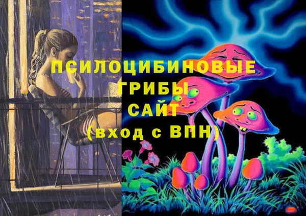 дурь Алзамай