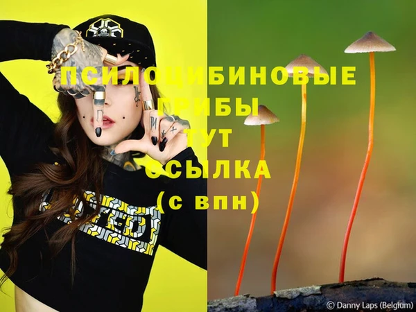 трава Алексин